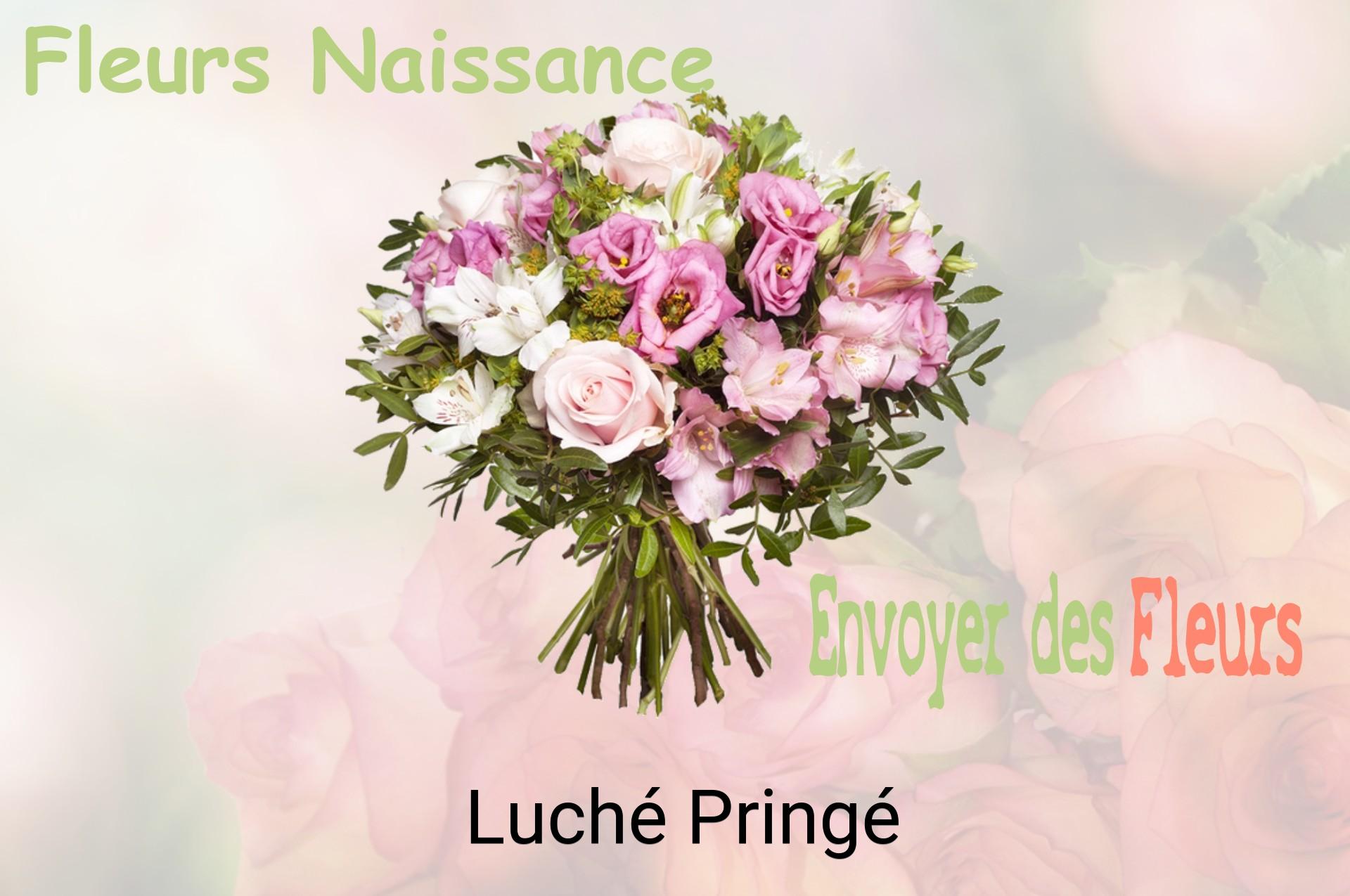 Bouquet de fleurs de naissance livré à Luché-Pringé