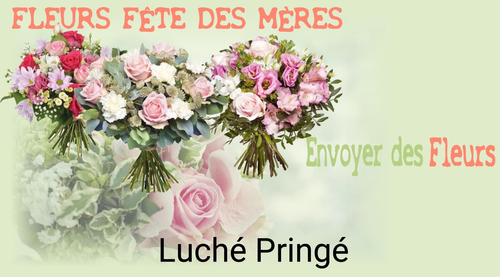 Bouquet de Fête des Mères livré à Luché-Pringé